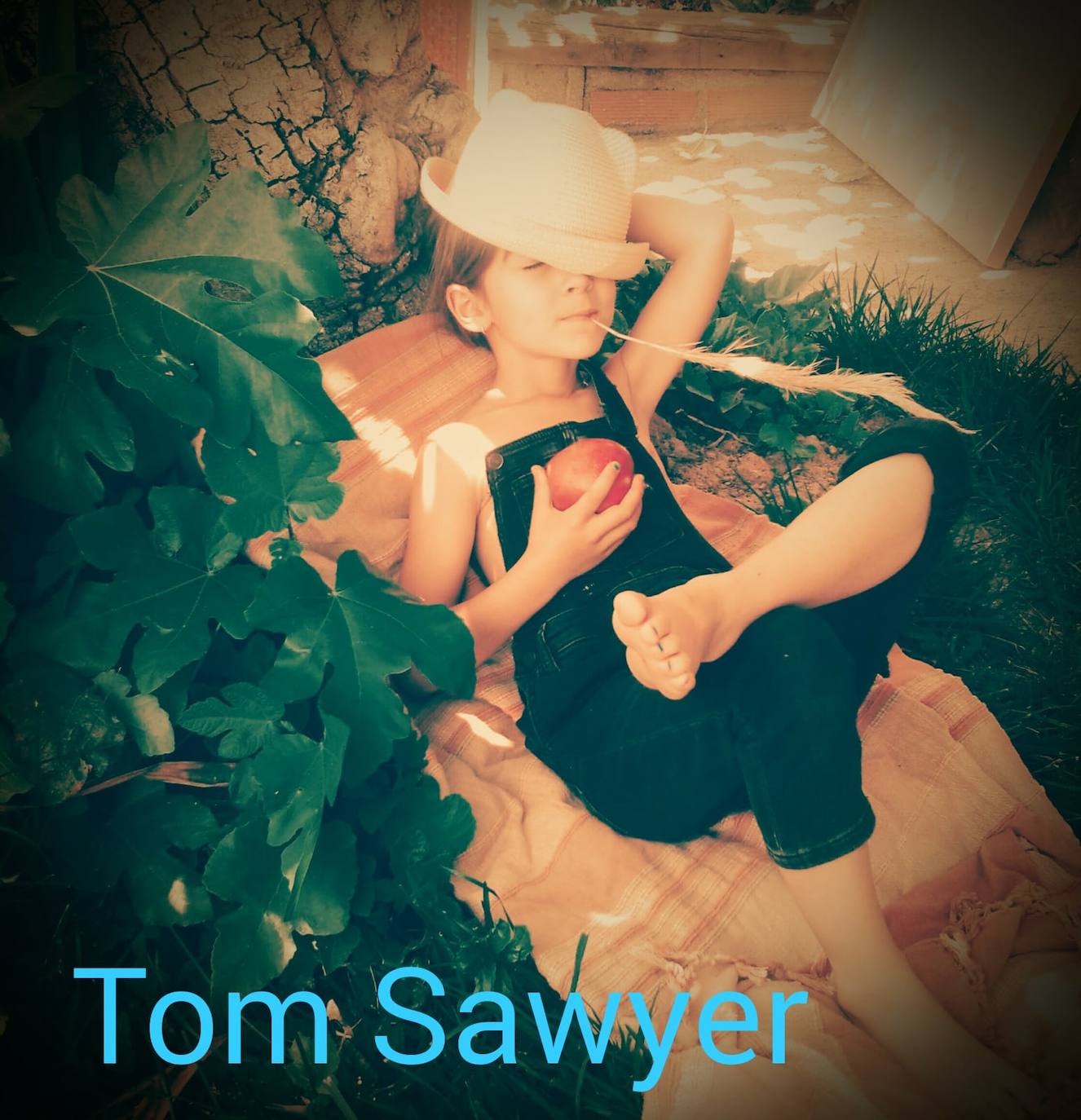 Tom Sawyer 