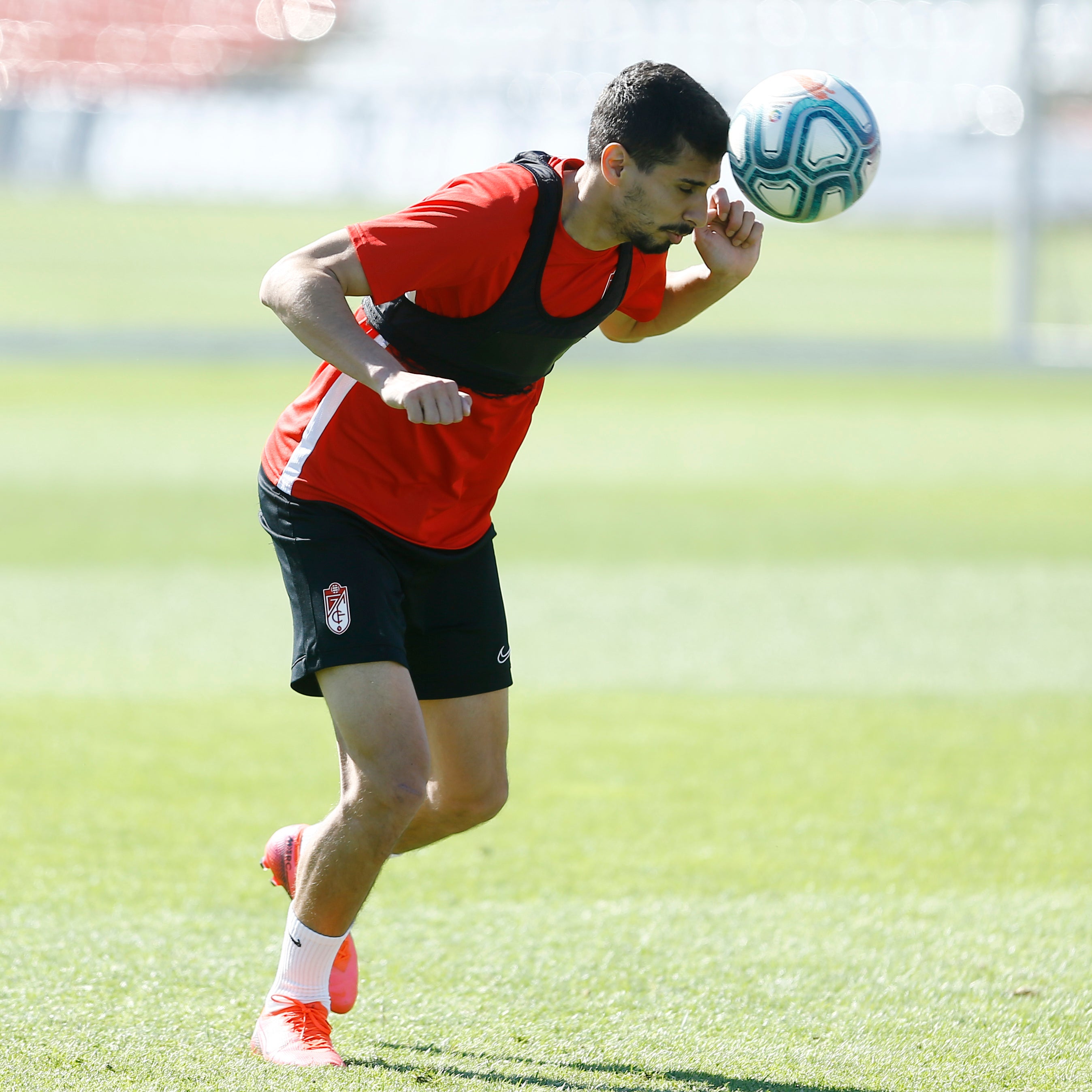 Fotos: Así ha sido el entrenamiento del Granada este martes