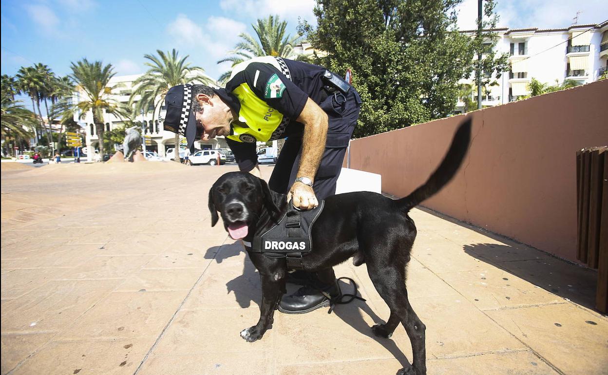 Negro es uno de los dos perros de esta unidad.