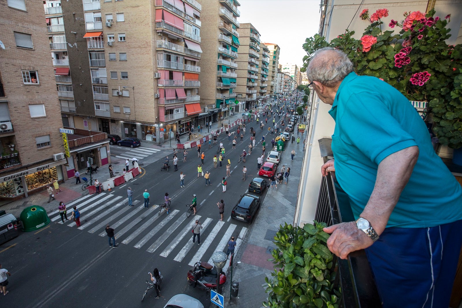 Decenas de personas protestan contra la decisión del Ayuntamiento de talar los árboles de la calle Palencia