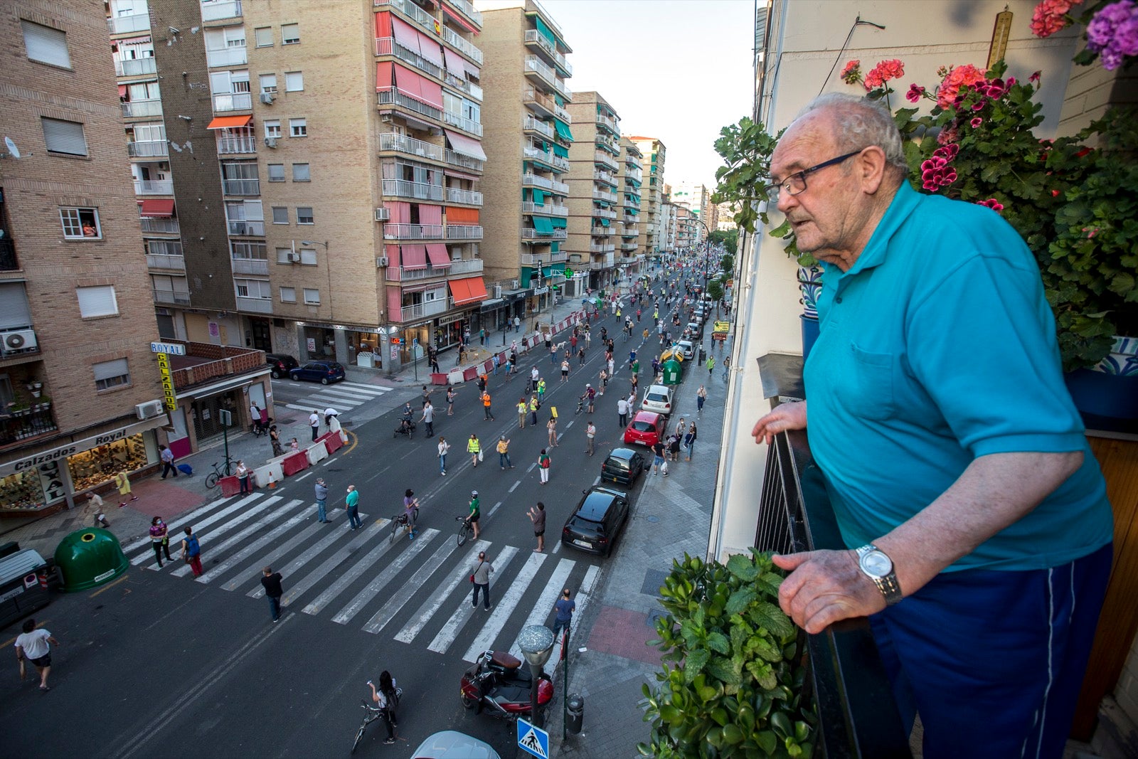 Decenas de personas protestan contra la decisión del Ayuntamiento de talar los árboles de la calle Palencia