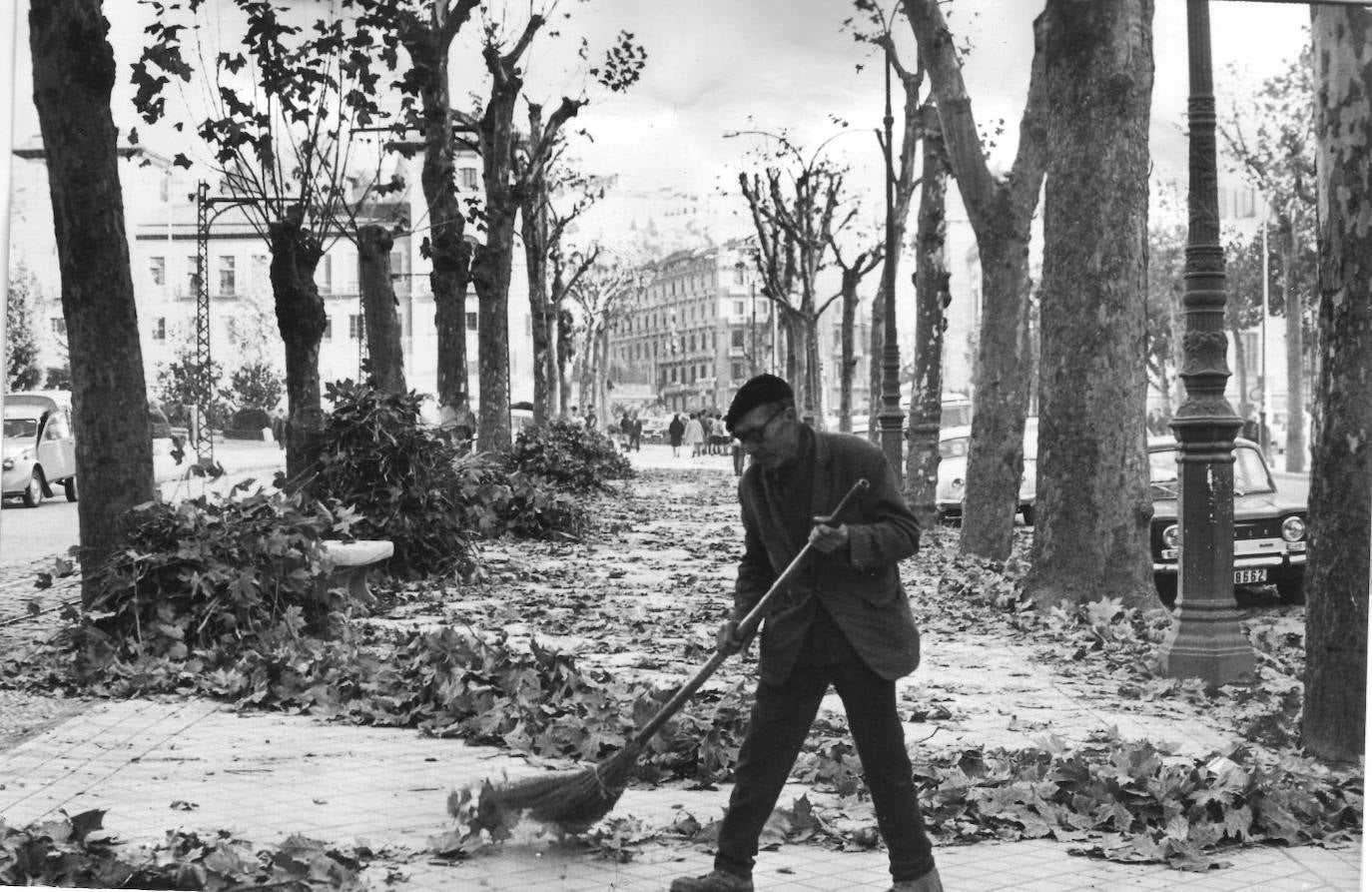 Poda en la Avenida en una imagen de 1970