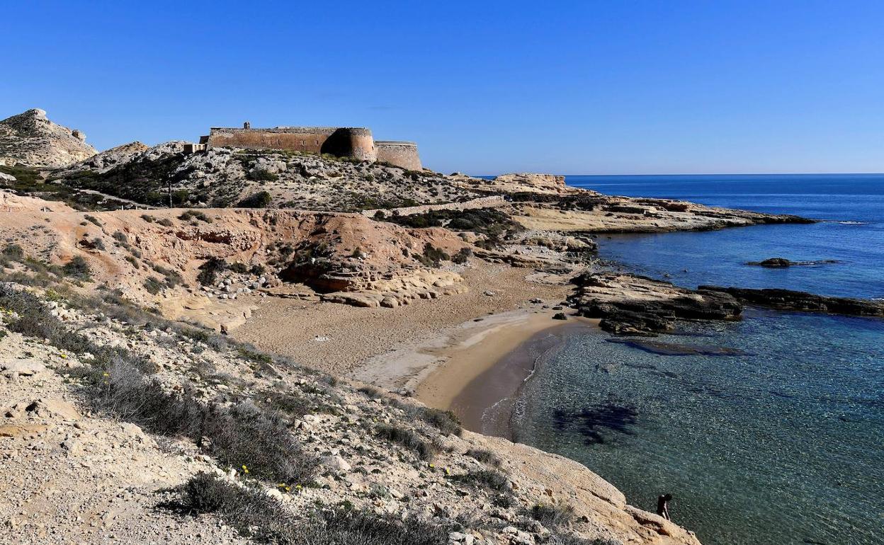Una ruta virtual permite disfrutar de la biodiversidad del Parque Natural Cabo de Gata-Níjar. 