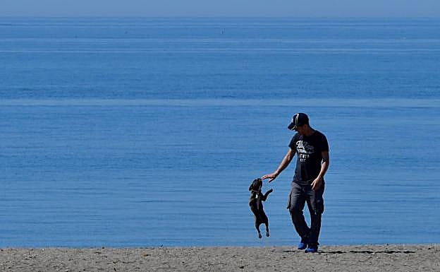 Una patrulla de 660 vigilantes será la que controle los aforos y las distancias en las playas