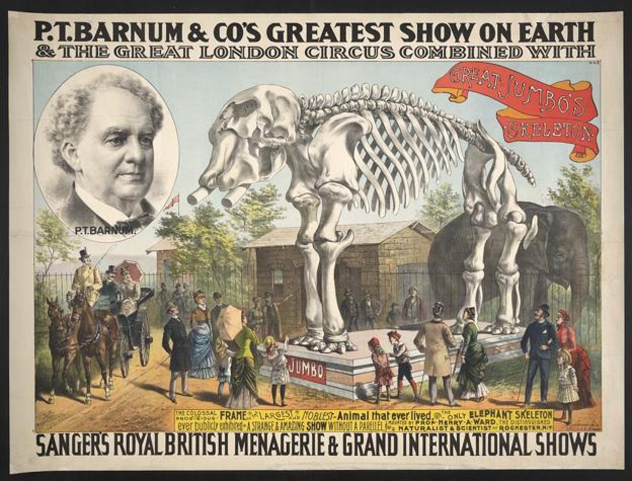 Cartel de Barnum que anuncia el esqueleto de Jumbo.