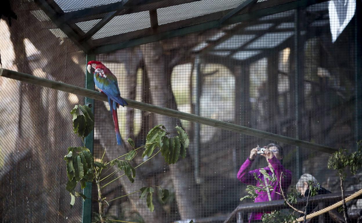 El viernes reabre el parque Loro Sexi de Almuñécar