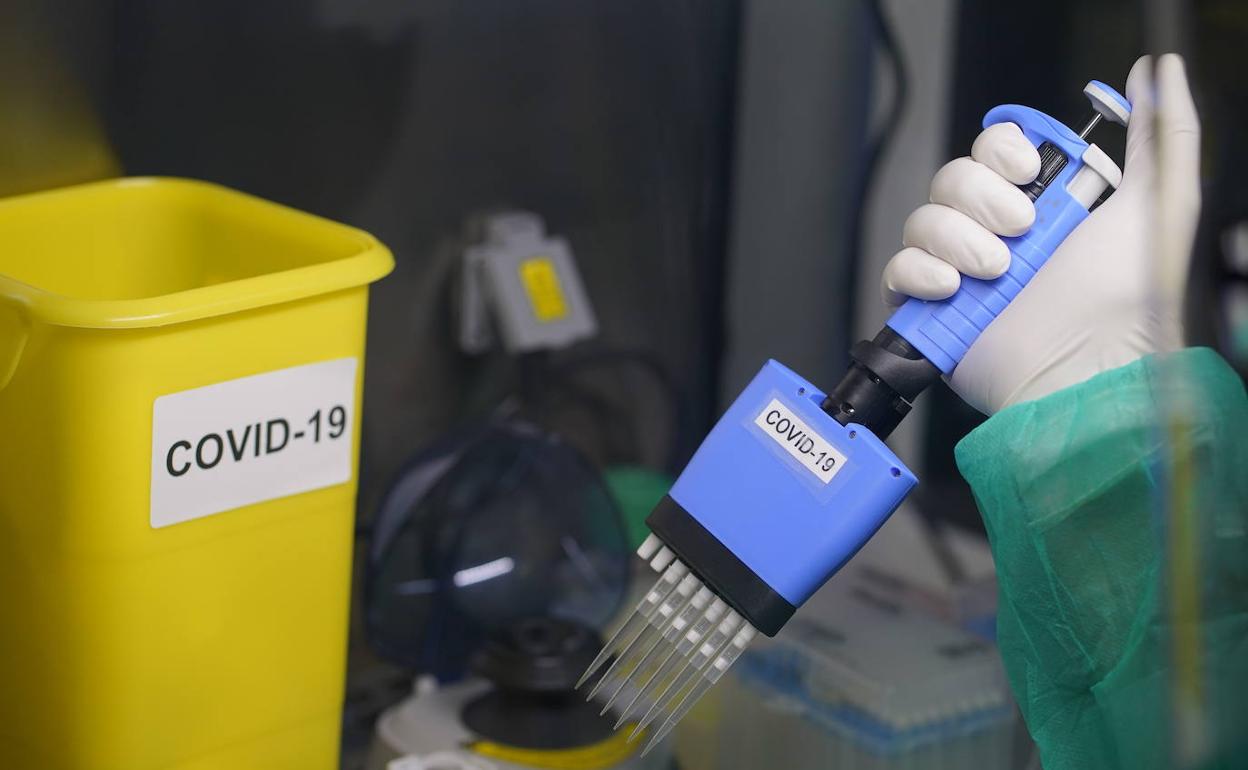 Pruebas para detectar Covid-19 en un laboratorio. 