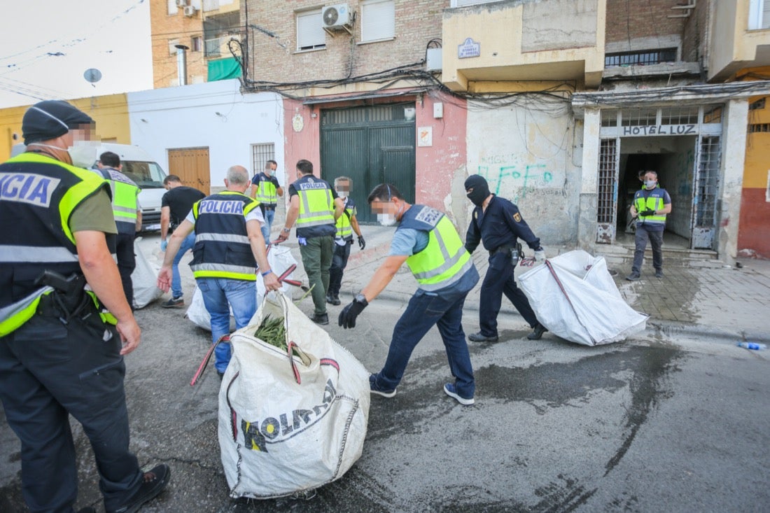 Policía Nacional ha registrado 36 viviendas y ha encontrado centenares de plantas de marihuana