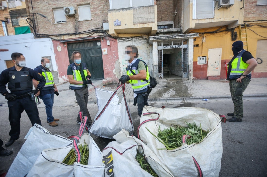 Policía Nacional ha registrado 36 viviendas y ha encontrado centenares de plantas de marihuana
