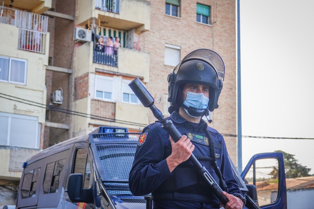 Policía Nacional ha registrado 36 viviendas y ha encontrado centenares de plantas de marihuana