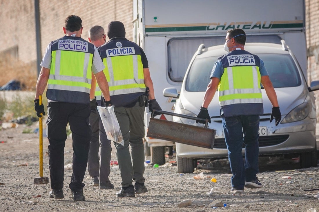 Policía Nacional ha registrado 36 viviendas y ha encontrado centenares de plantas de marihuana
