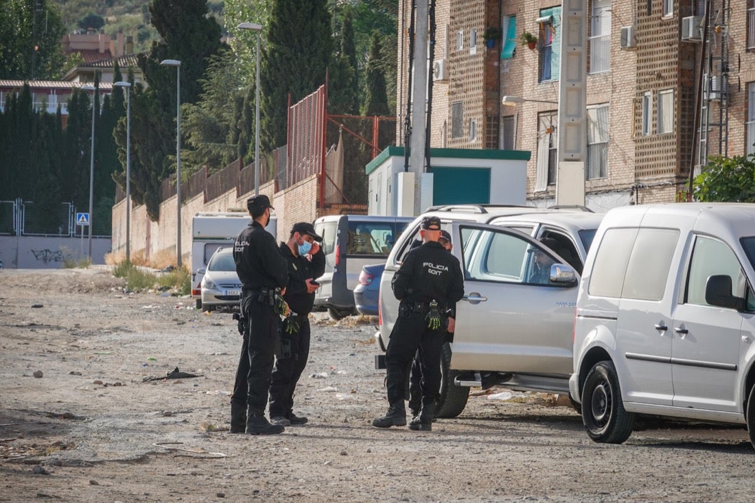 Policía Nacional ha registrado 36 viviendas y ha encontrado centenares de plantas de marihuana