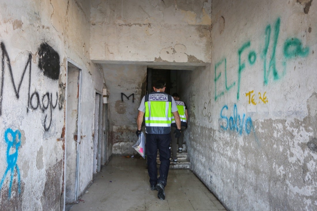 Policía Nacional ha registrado 36 viviendas y ha encontrado centenares de plantas de marihuana