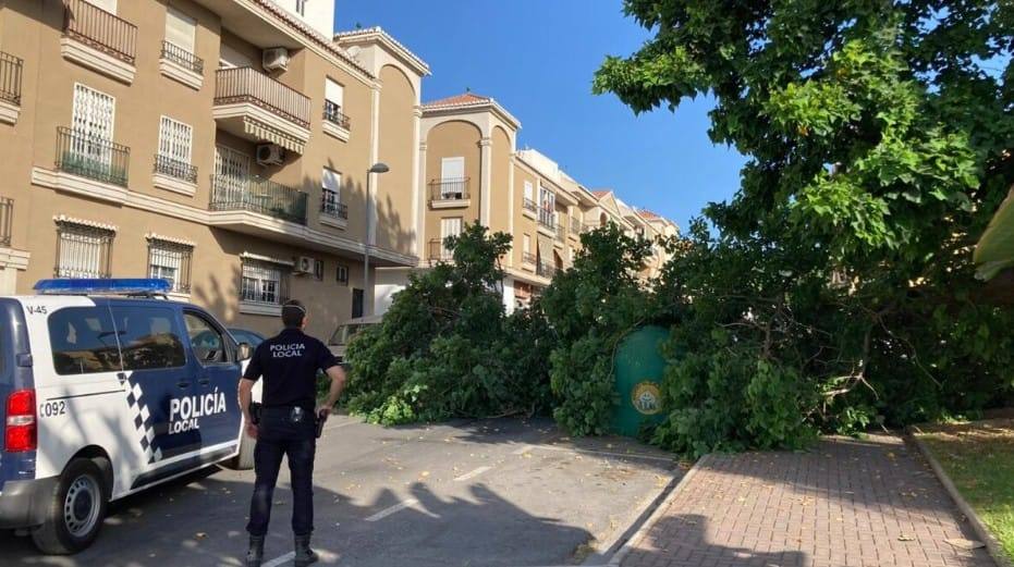 La policía ha asegurado la zona en la que se ha producido el accidente.