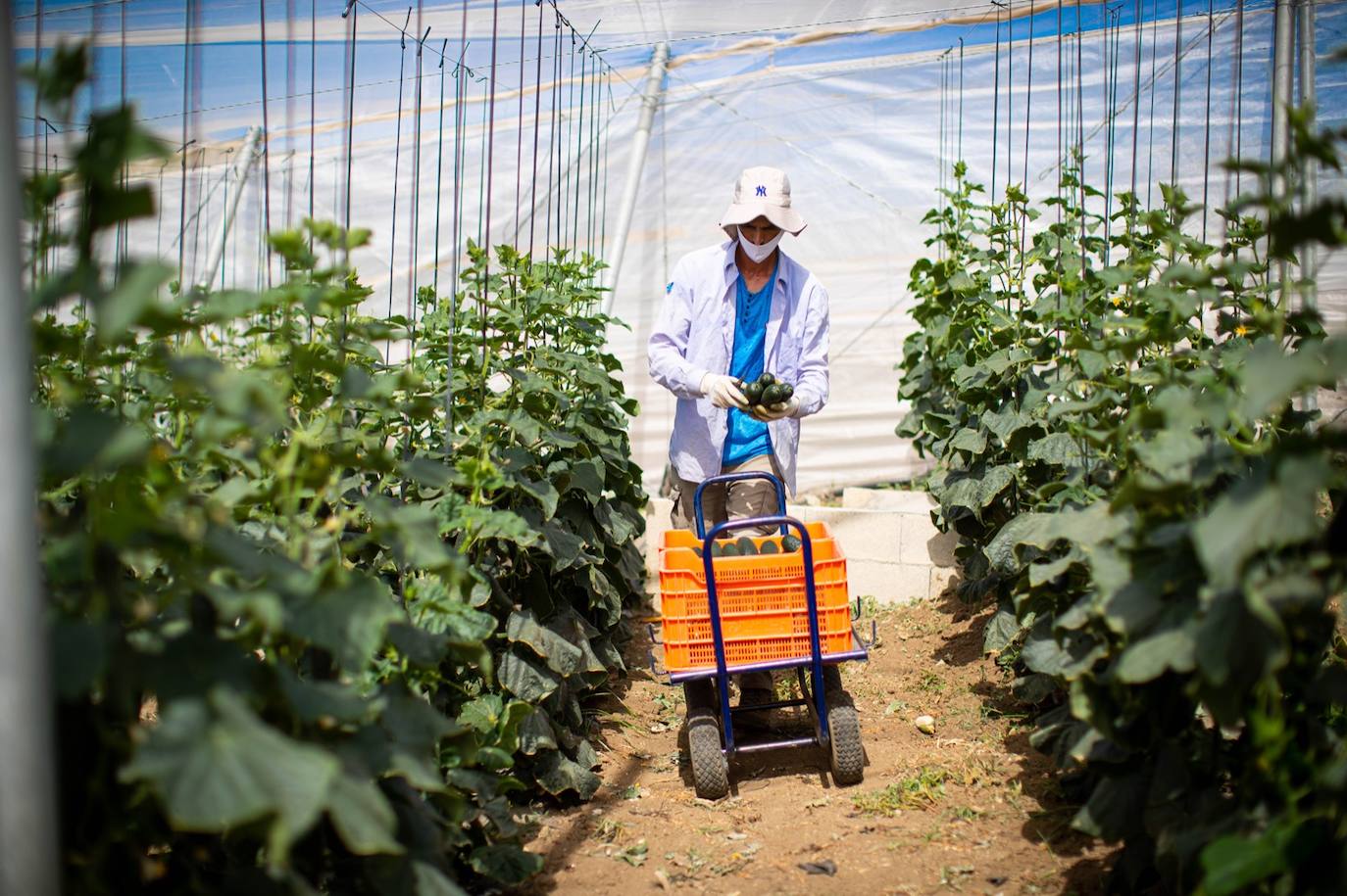 Fotos: Un brote con 15 temporeros confinados inquiera a Játar