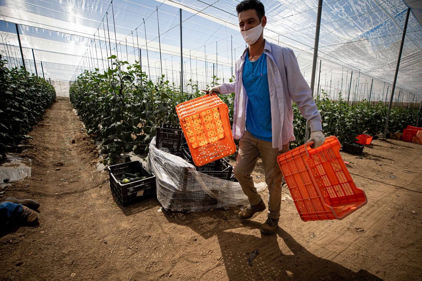 Fotos: Un brote con 15 temporeros confinados inquiera a Játar