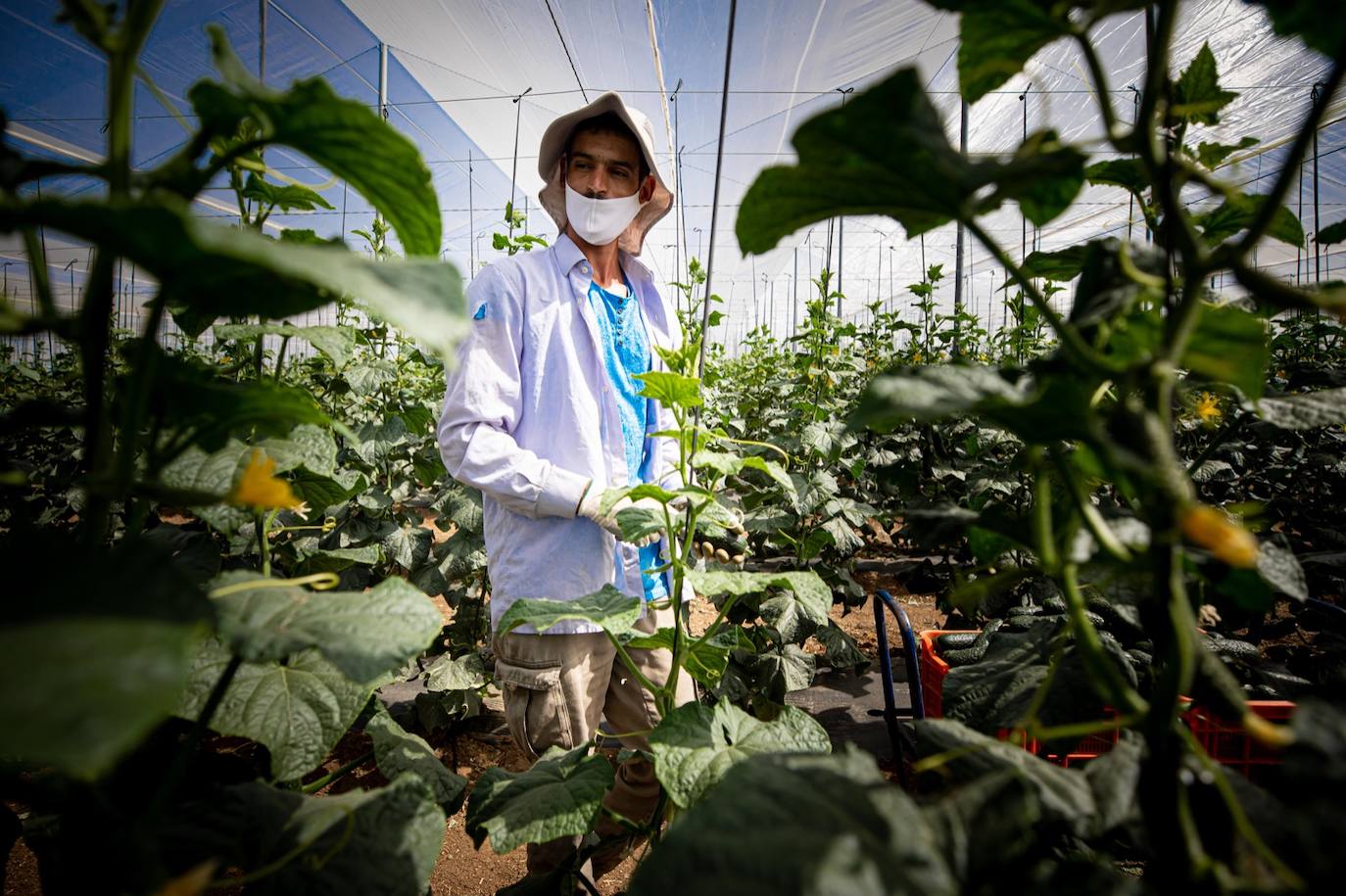 Fotos: Un brote con 15 temporeros confinados inquiera a Játar
