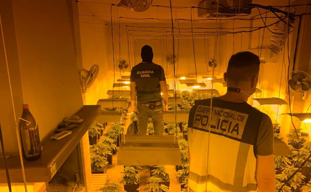 Imagen de uno de los registros efectuados en Atarfe por Policía Nacional y GuardiaCivil. 