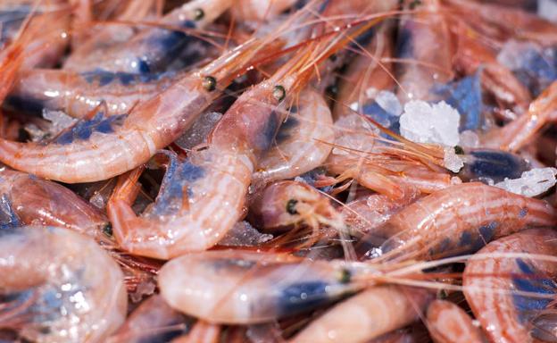 Encuentran coronavirus en paquetes de unas gambas congeladas que llegaron a China