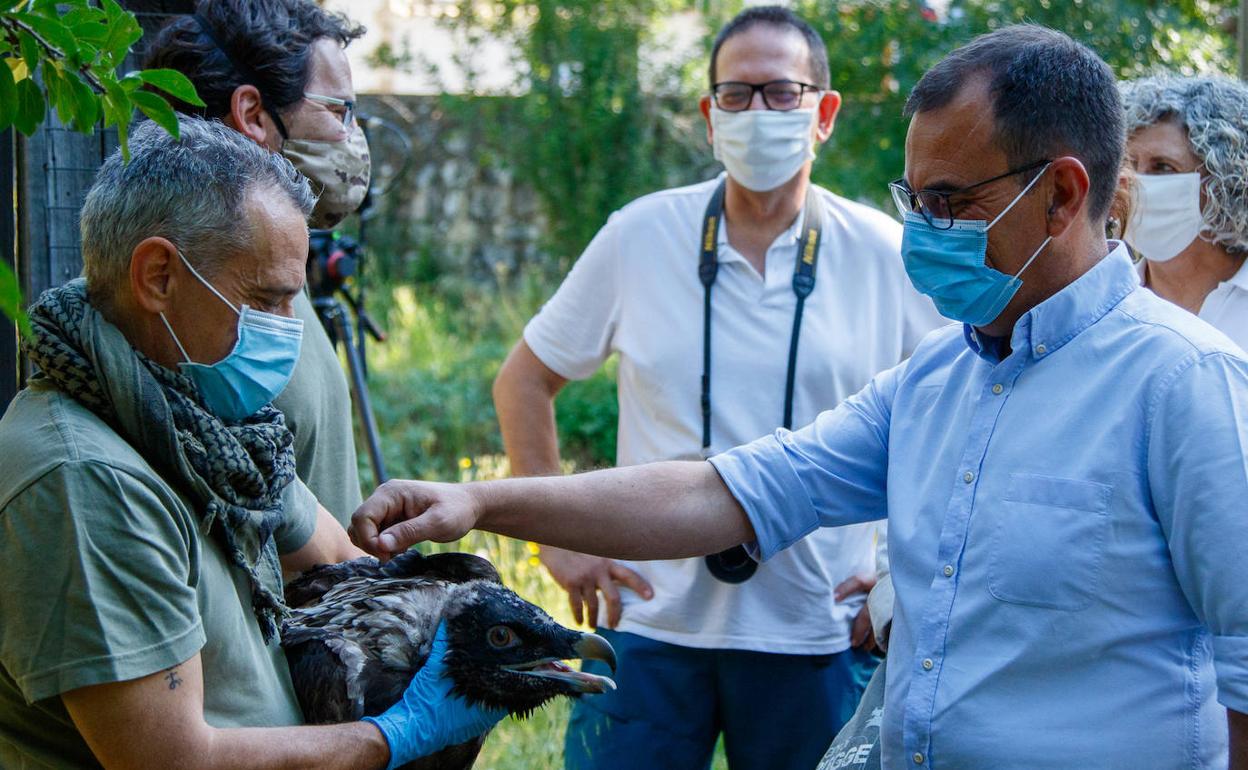 Visita al centro de cría en cautividad del quebrantahuesos Guadalentín, en Jaén. 