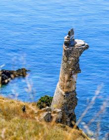 Imagen secundaria 2 - Arriba, camino de la playa de Maro. Sobre estas líneas, Torre del Río de la Miel y paseos en kayak por las cascadas de Maro.