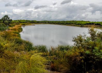 Imagen secundaria 1 - Dunas, caños y marismas en las orillas del Atlántico