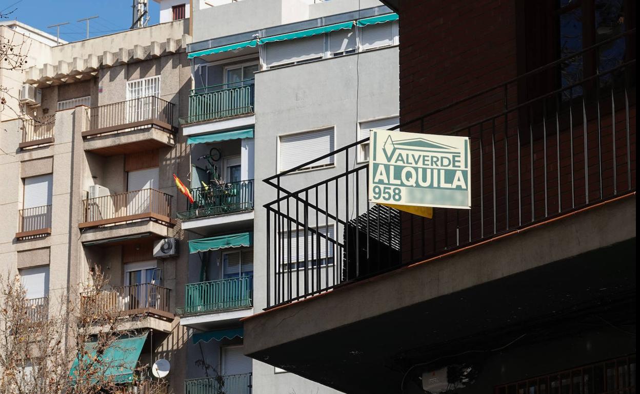 Un cartel ofrece una vivienda en alquiler en el Centro de Granada. 