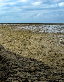 Imagen secundaria 2 - La bajamar descubre sus secretos