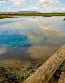 Imagen secundaria 2 - Lagunas en el centro de Andalucía