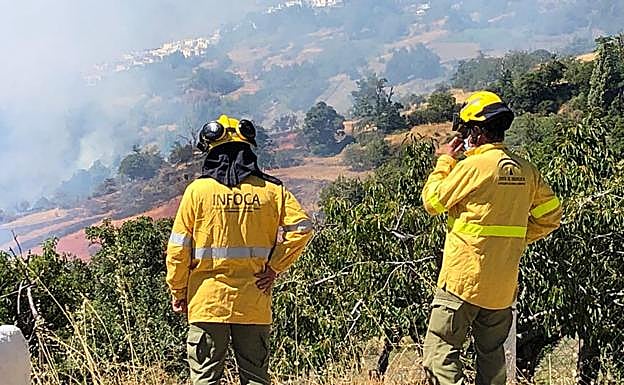 Incendio en la Alpujarra de Granada