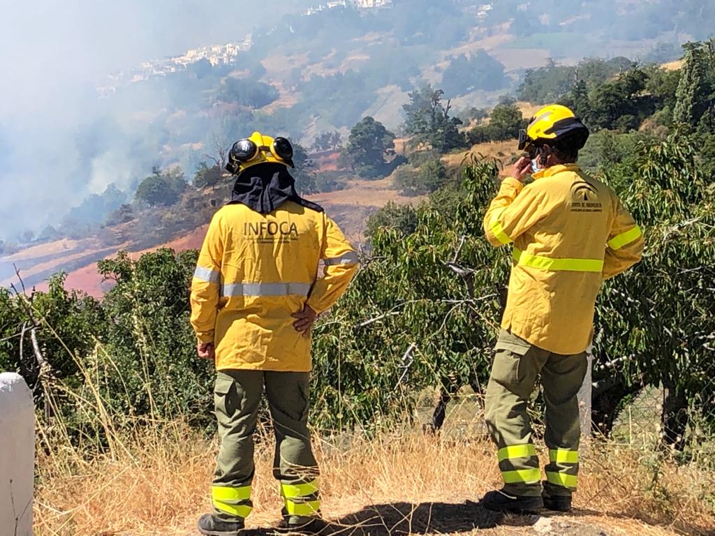 Así se está viviendo el fuego forestal en la Alpujarra