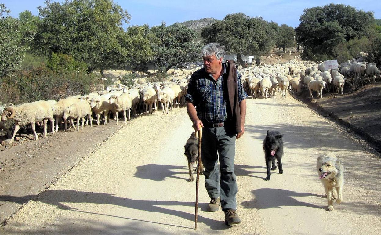 'De Guadalaviar a Vilches', la trashumancia escribe su relato literario