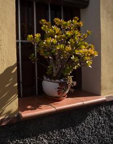 Imagen secundaria 2 - Rincones de Chite.