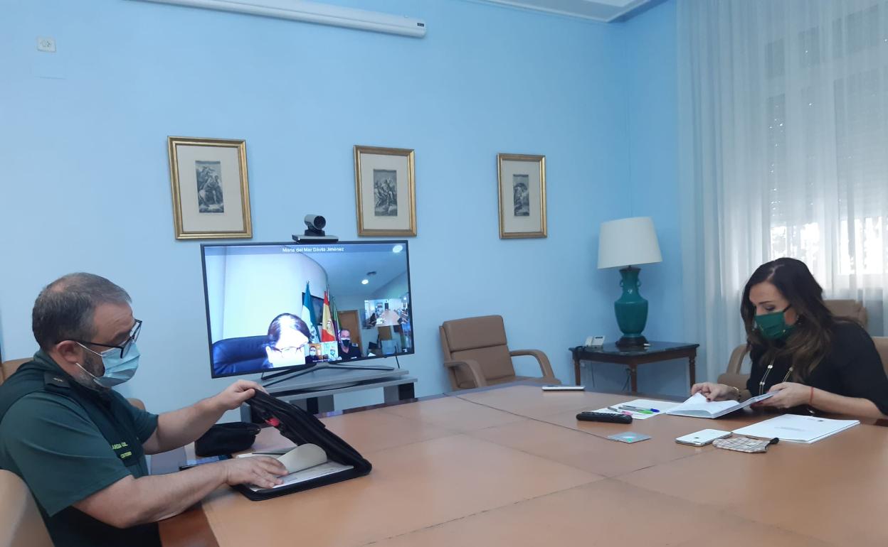 Reunión de la Junta de Seguridad en la Subdelegación con la alcaldesa de Mancha Real en la pantalla.