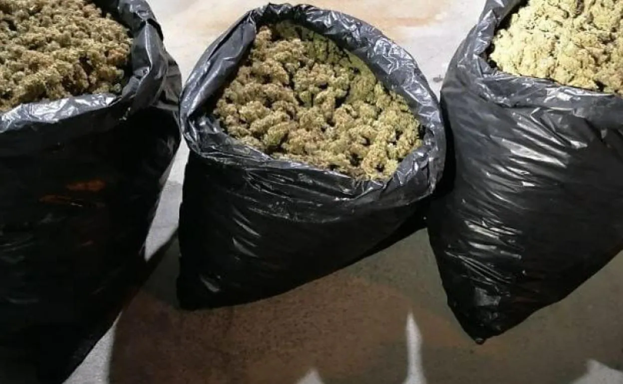 Sucesos en Almería | Llevaba 13 kilos de marihuana en el coche y le cazan en un control