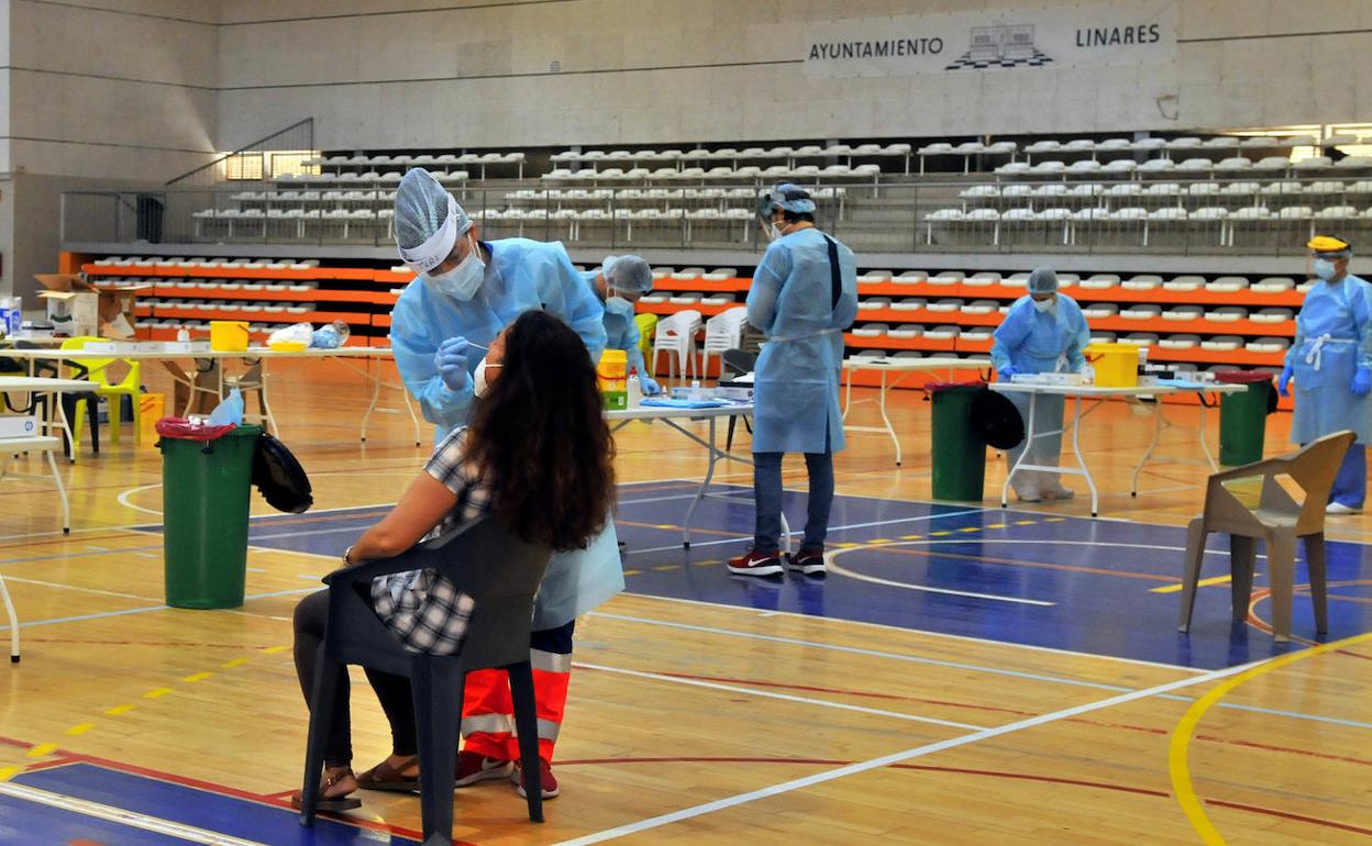 Pruebas PCRrealizadas en el cribado masivo de esta pasada semana en Linares. 