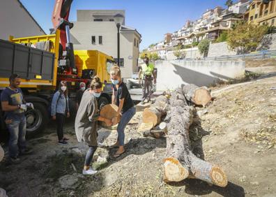 Imagen secundaria 1 - Algunos vecinos se llevaron troncos del árbol como recuerdo.