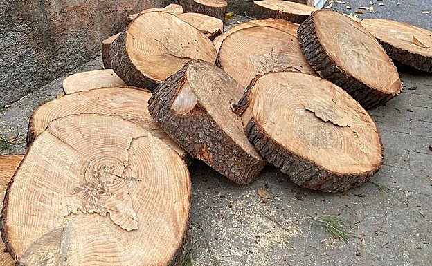 Así ha quedado el árbol. 