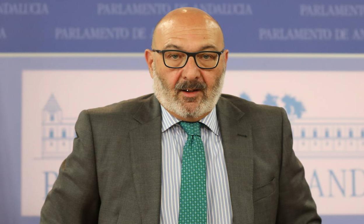 El portavoz parlamentario de Vox Andalucía, Alejandro Hernández.