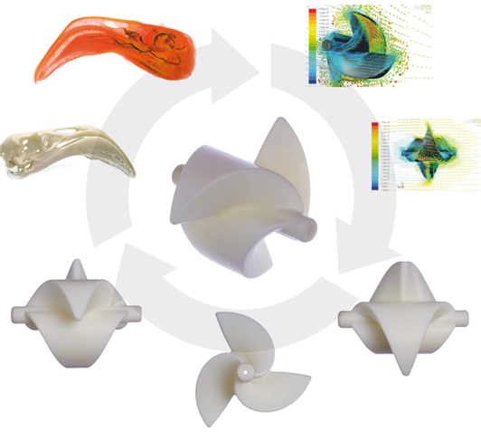 Turbina bidireccional mareomotriz pasiva bioinspirada en el pico del flamenco y diseñada por Biomival.