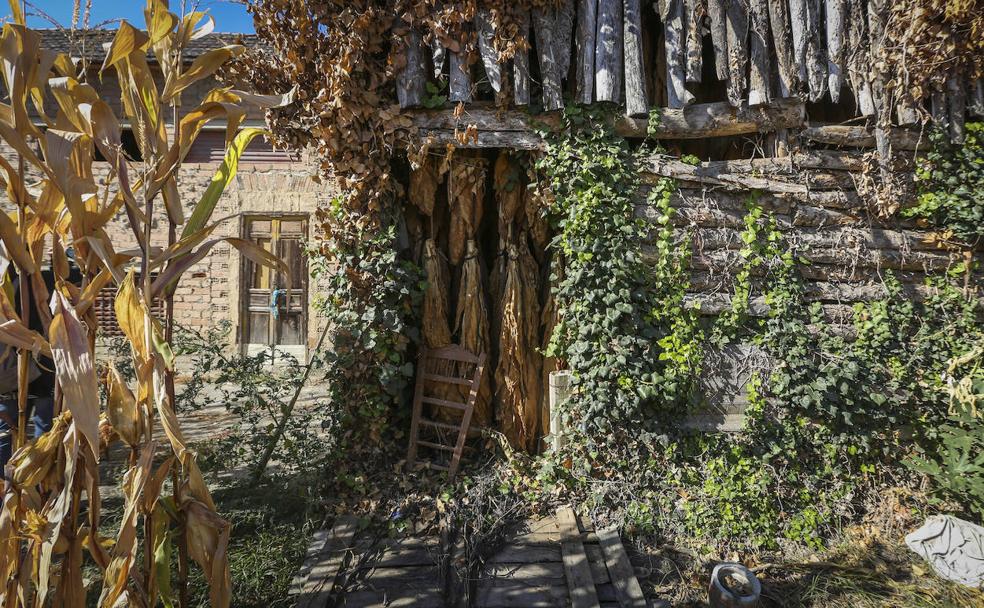 Secadero en Cüllar Vega