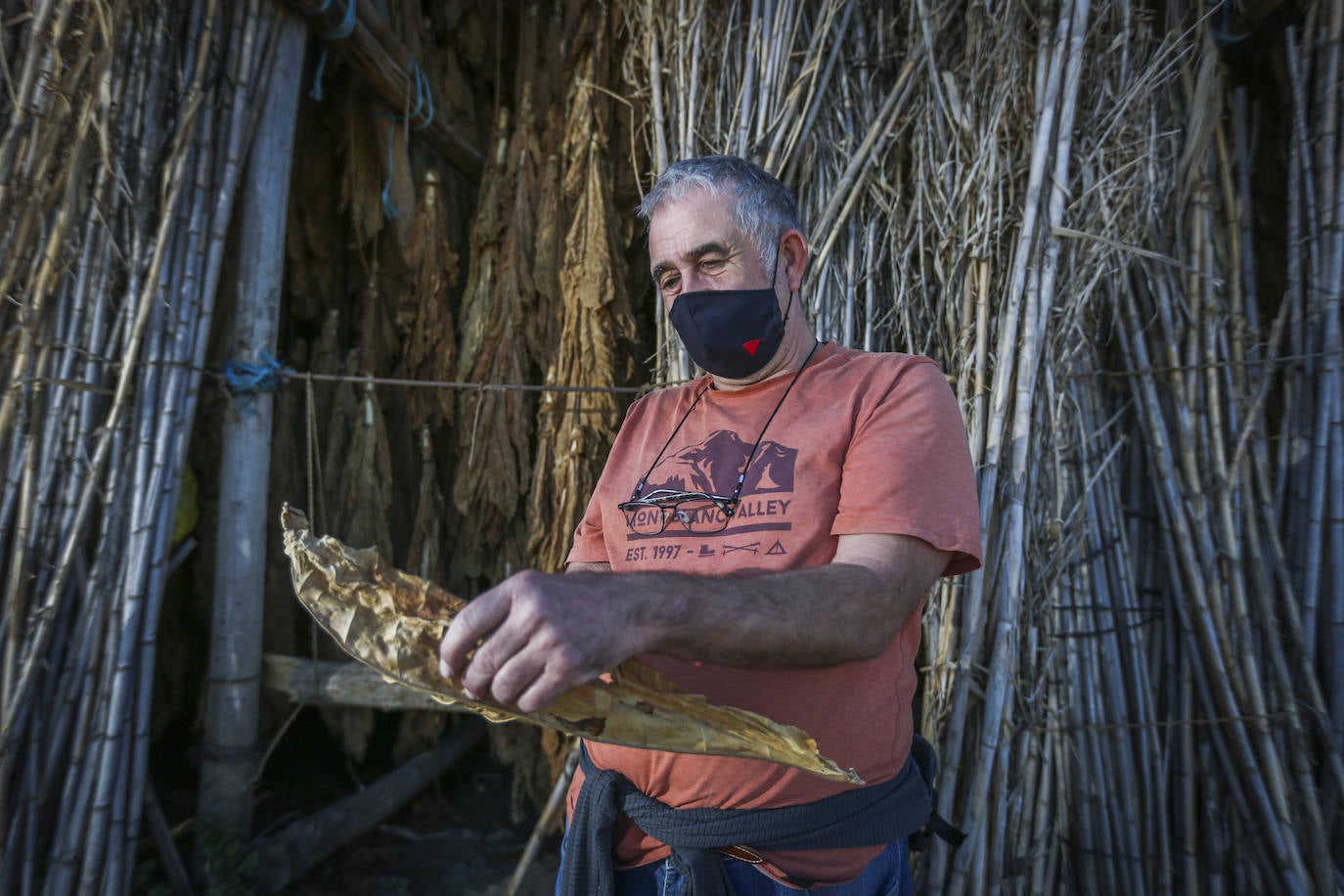 Fotos: Secaderos &#039;de palo&#039; en Cúllar Vega