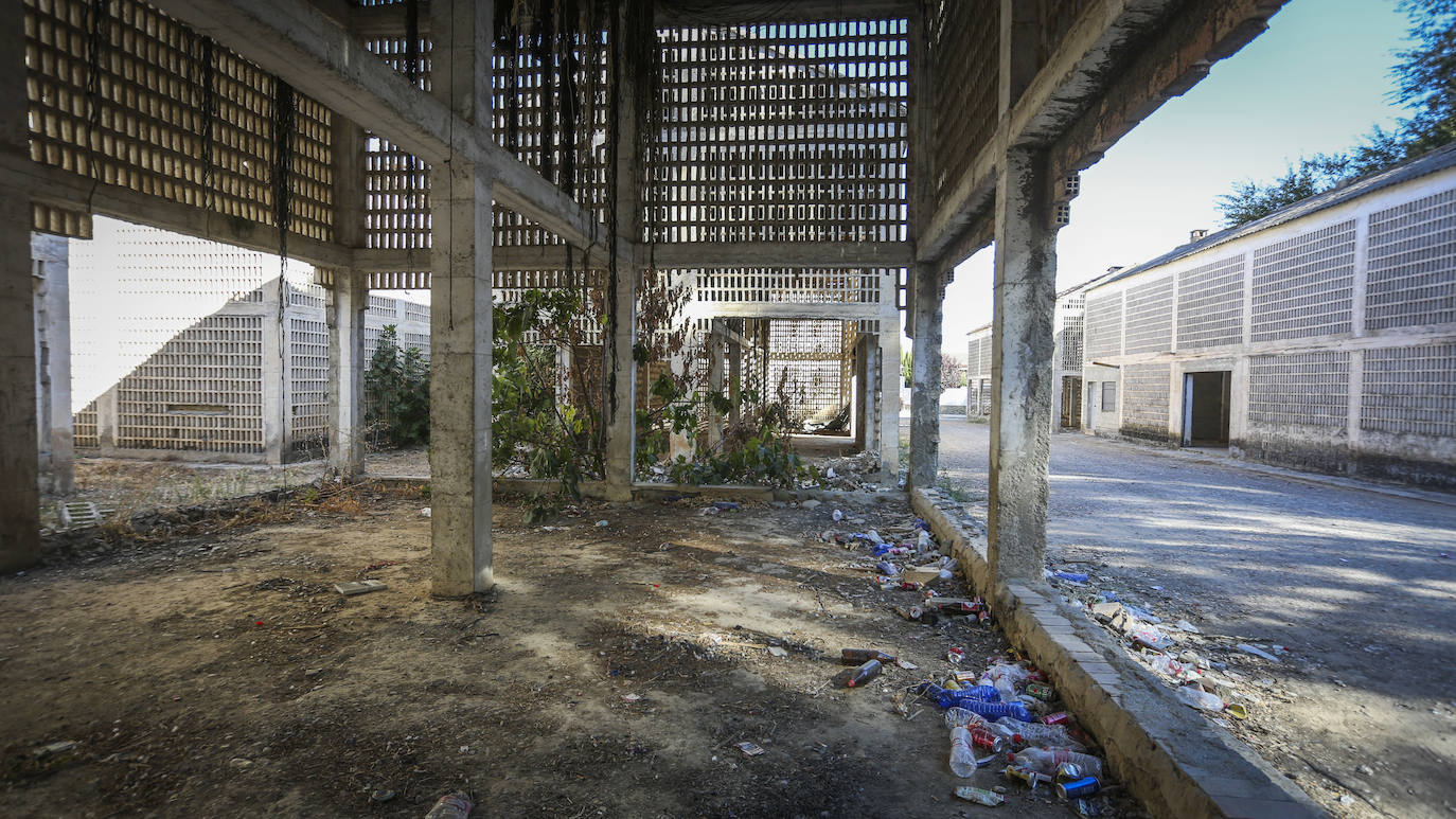 Patrimonio industrial abandonado en Peñuelas