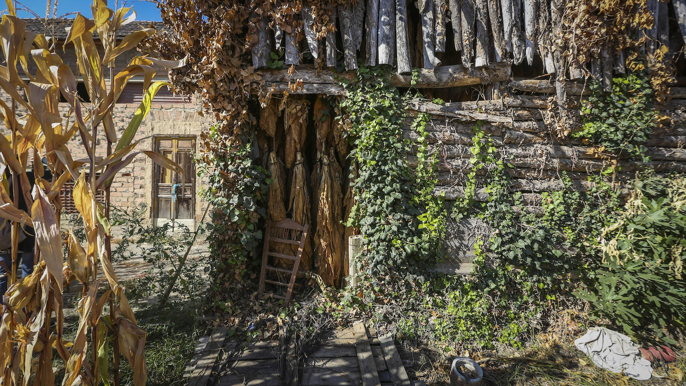 Fotos: Secaderos &#039;de palo&#039; en Cúllar Vega