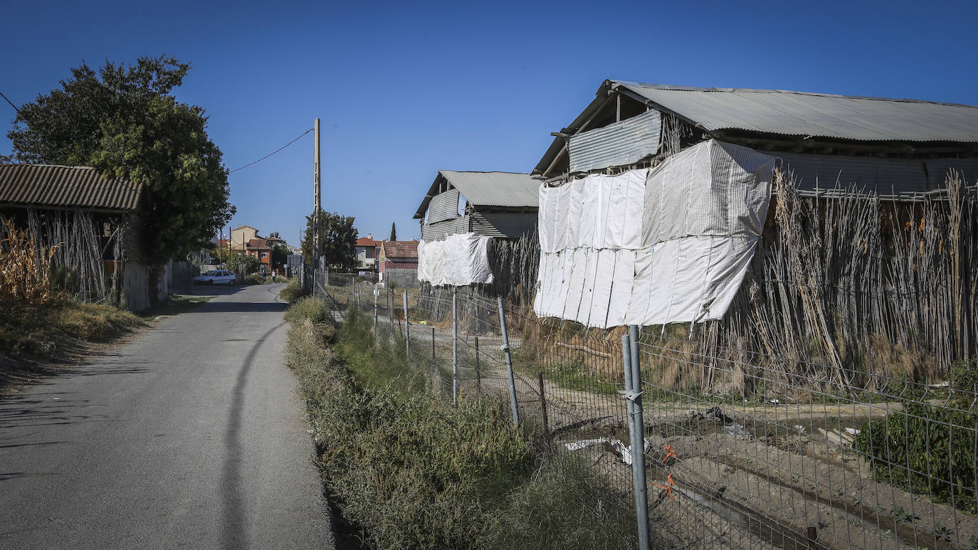 Fotos: Secaderos &#039;de palo&#039; en Cúllar Vega
