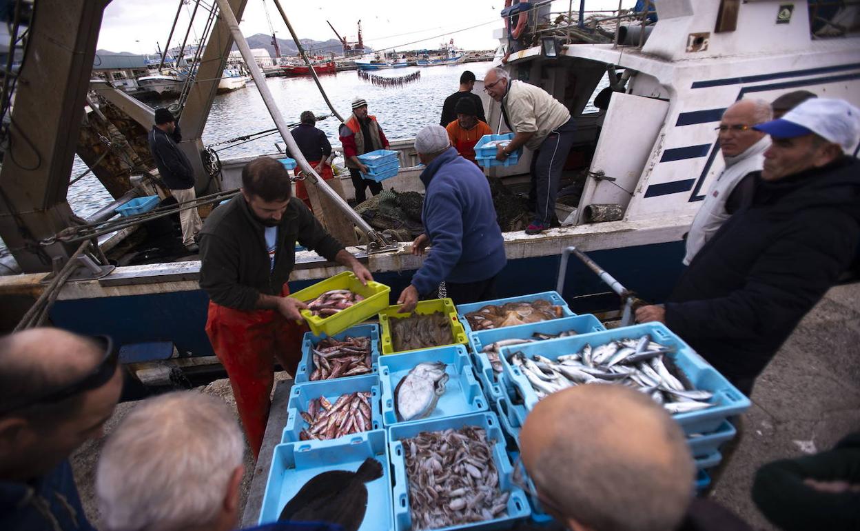 En Motril hay doce barcos de arrastre que estarían afectados por esta reducción. 