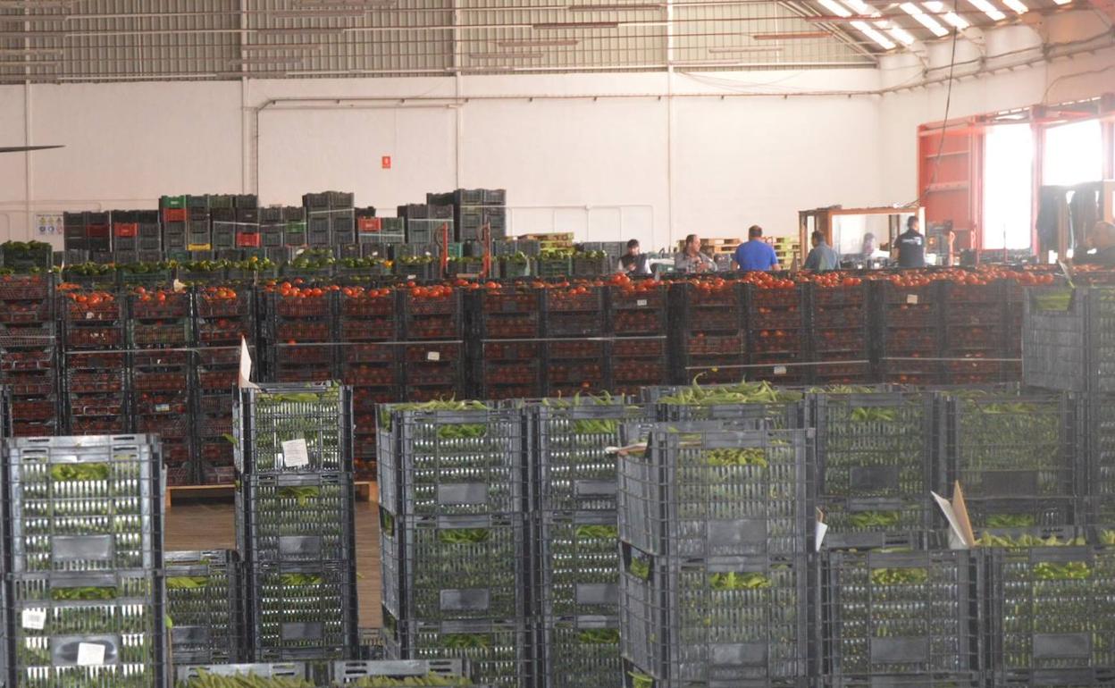 Producto en un centro de subasta.