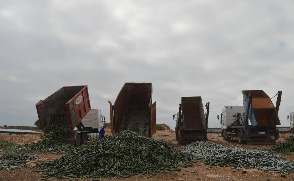 Camiones cargados de pepino arrojan el producto en uno de los puntos habilitados.