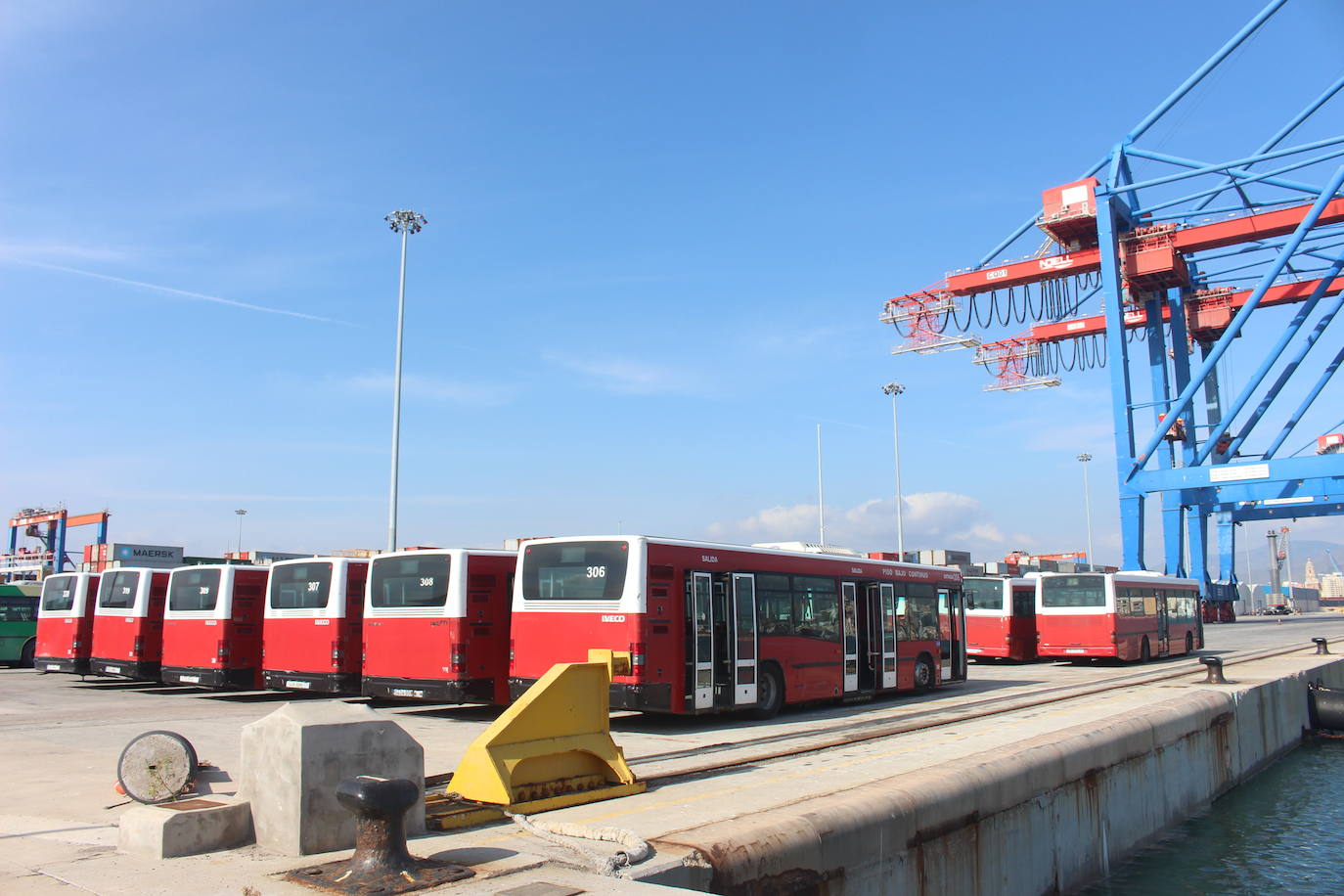 Los autobuses de la Rober en el puerto de Málaga preparados para cargarlos en el buque. 