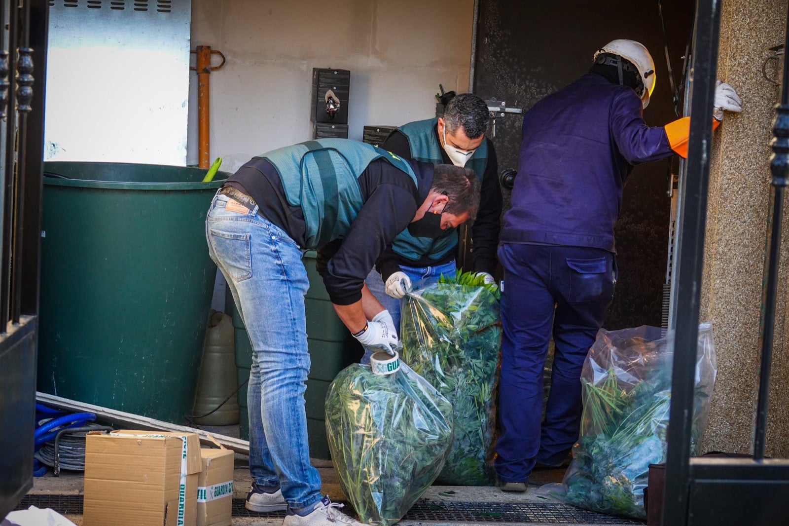 300 guardias civiles, 5.000 plantas, 13 detenidos, armas y coches de lujo